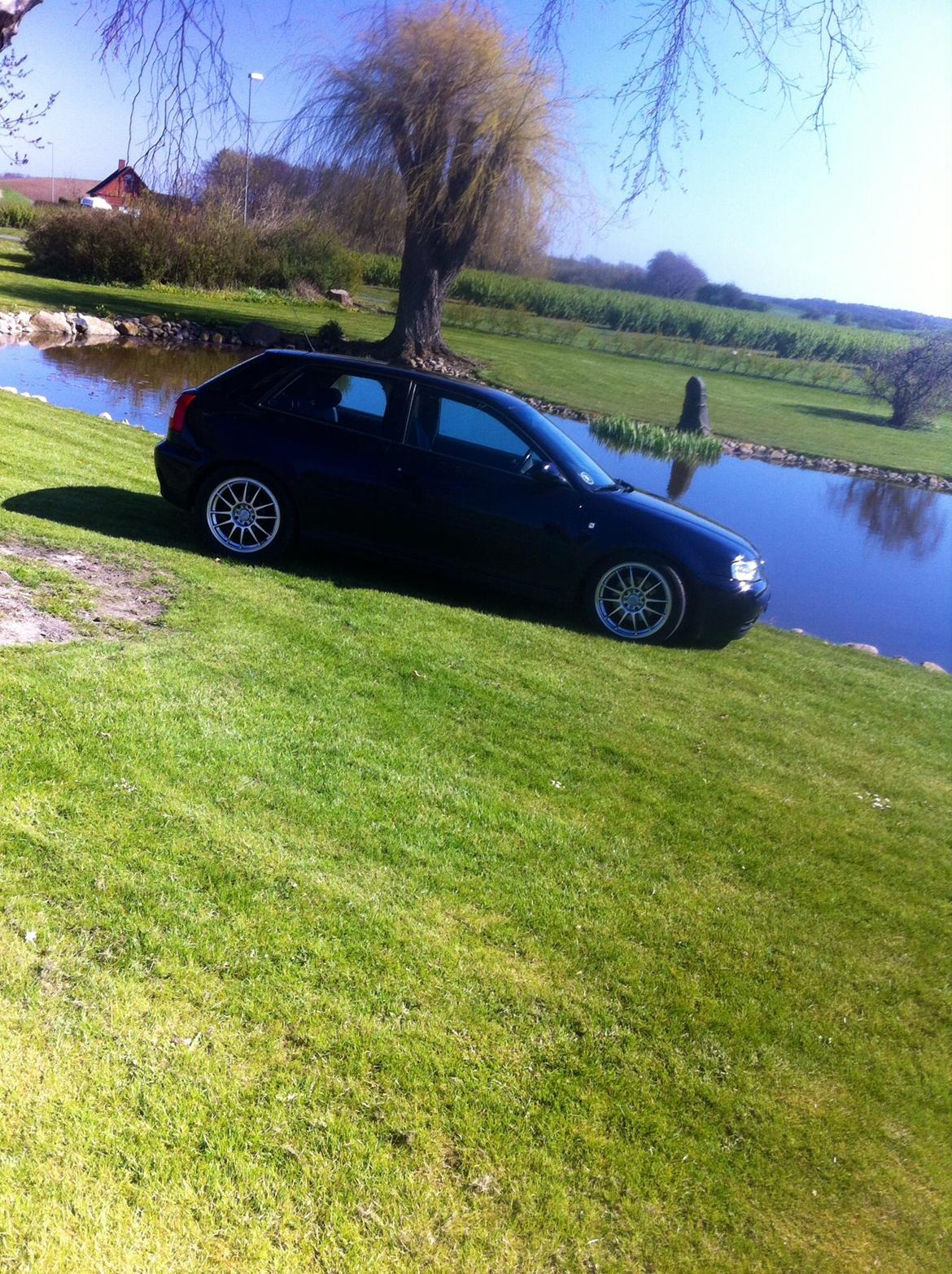 Audi A3 8L Ambition  billede 16