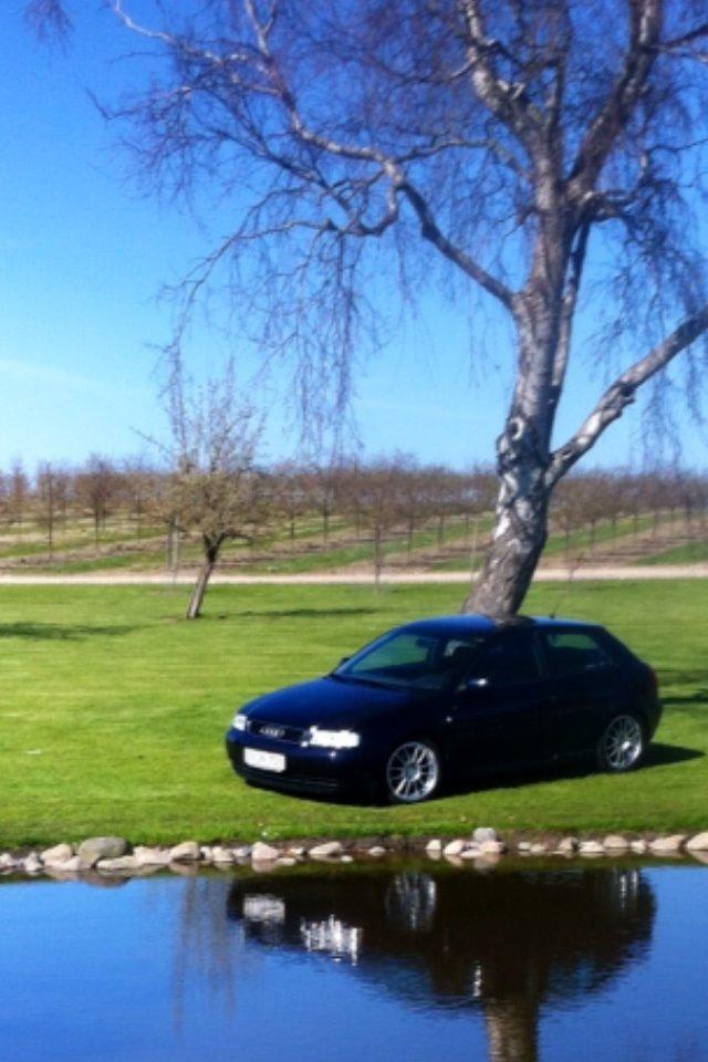 Audi A3 8L Ambition  billede 19