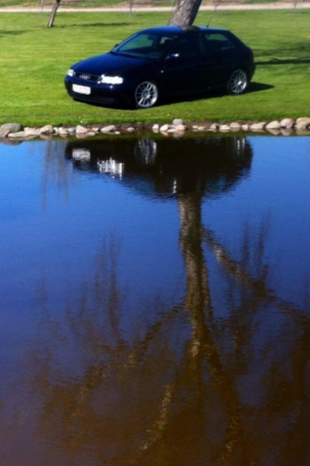 Audi A3 8L Ambition  billede 18