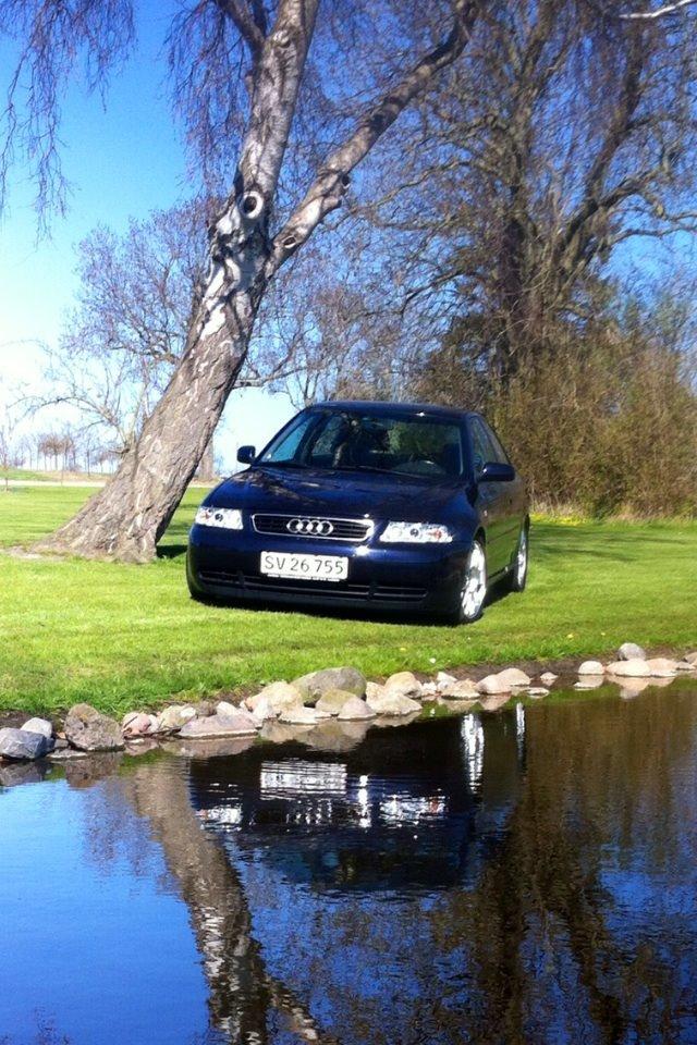 Audi A3 8L Ambition  billede 20