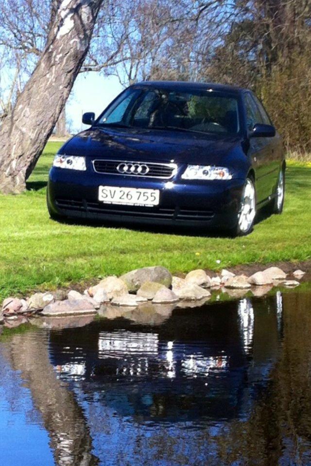 Audi A3 8L Ambition  billede 1