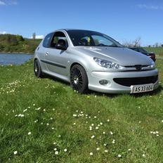 Peugeot 206 gti