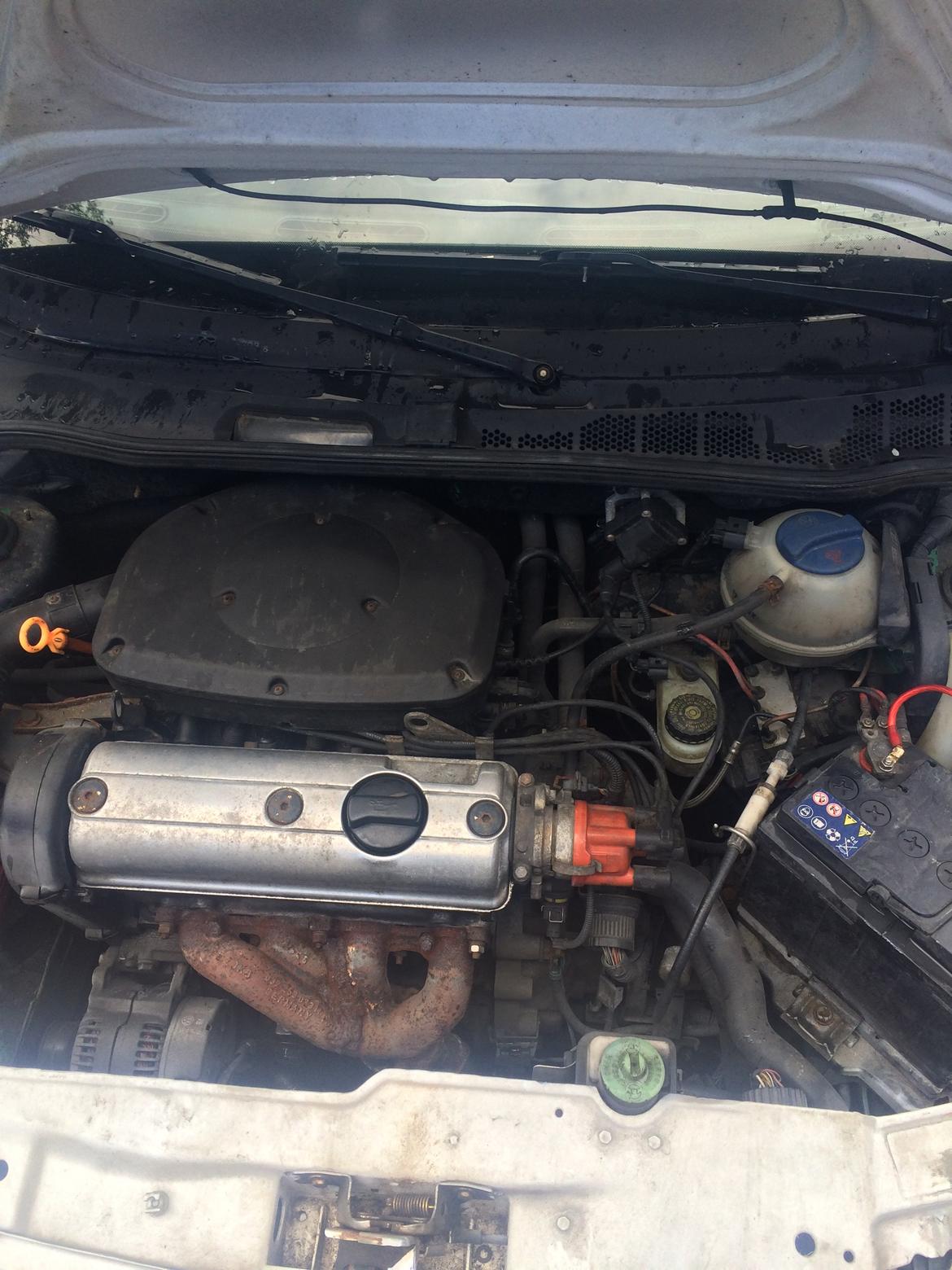 VW Polo 6n SOLGT billede 29