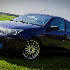 Ford Focus Collection