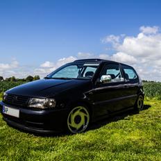 VW Polo 6n