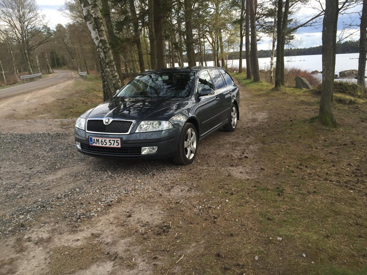 Skoda Octavia 1.9 TDI Ambiente billede 1