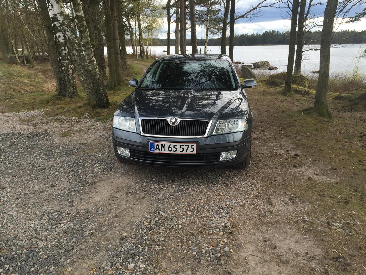 Skoda Octavia 1.9 TDI Ambiente billede 2