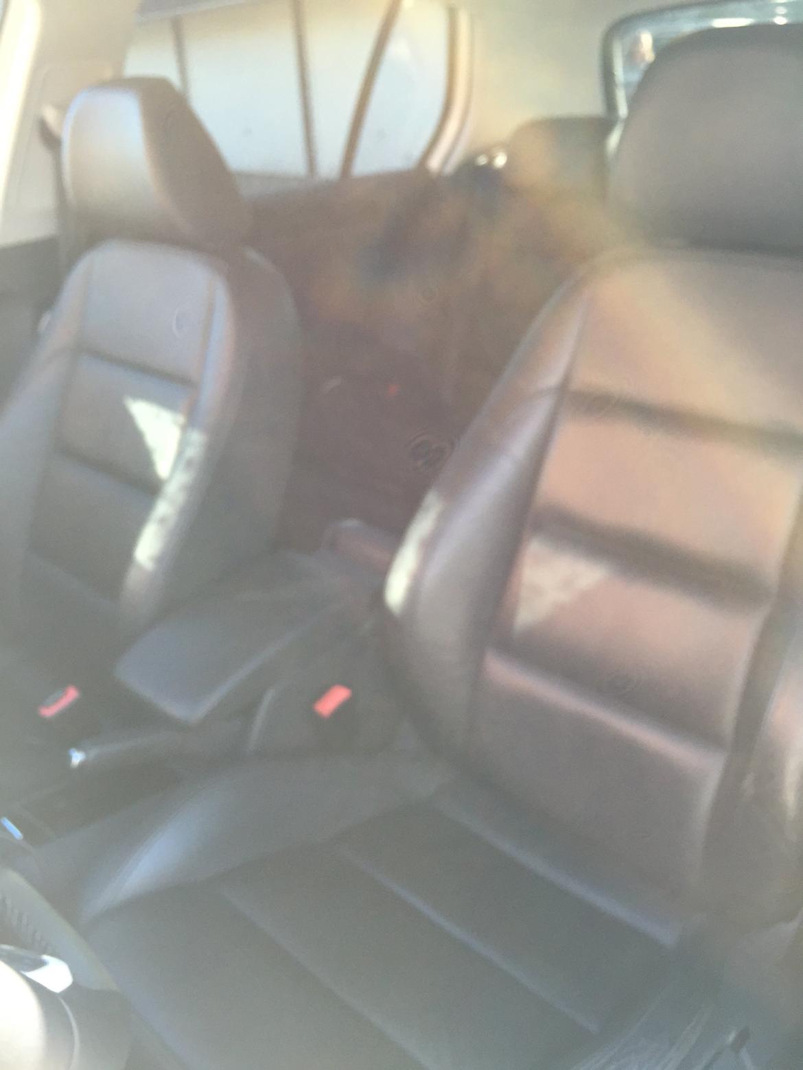 VW Golf 6 VI (R) (SOLGT) billede 10