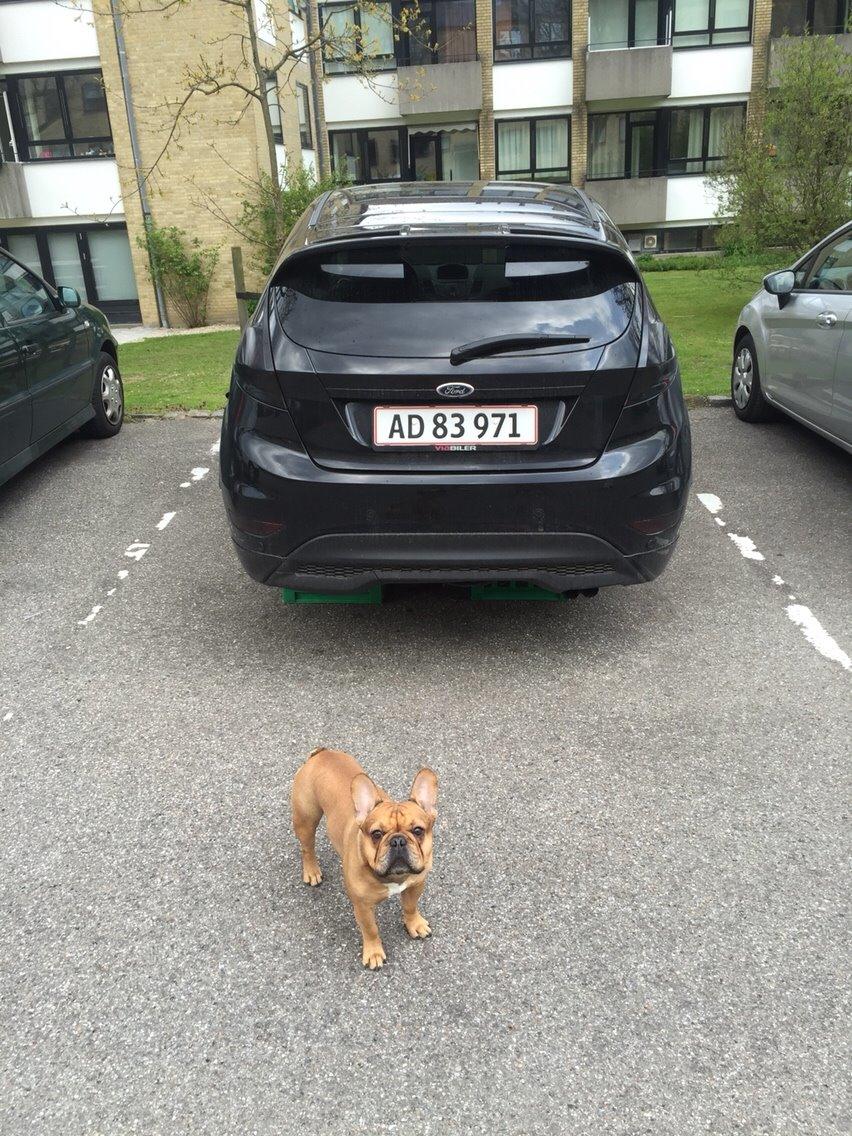 Ford Fiesta ZetecS billede 8