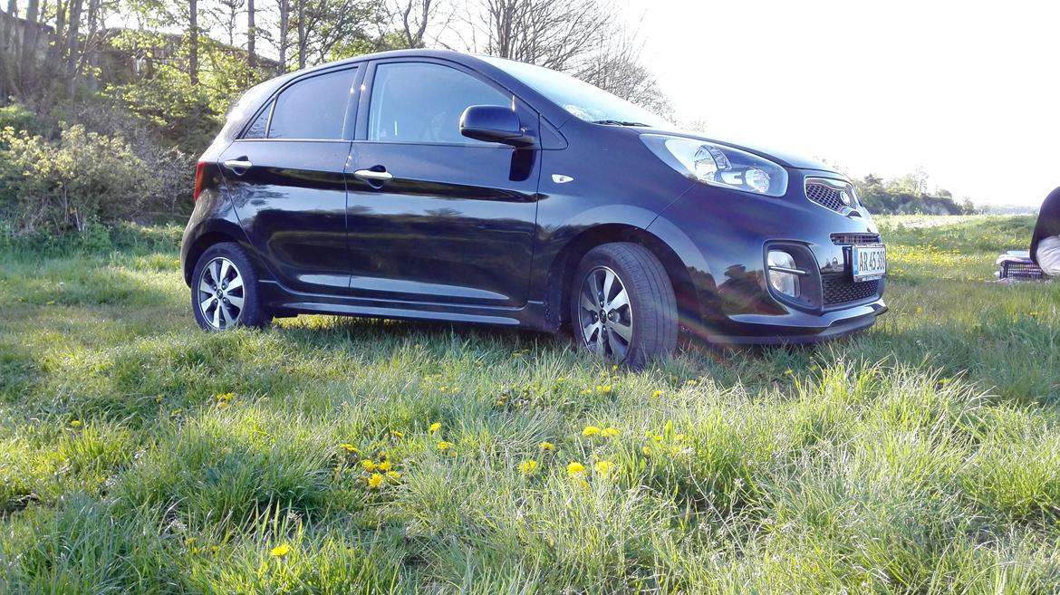 Kia Picanto sport billede 5
