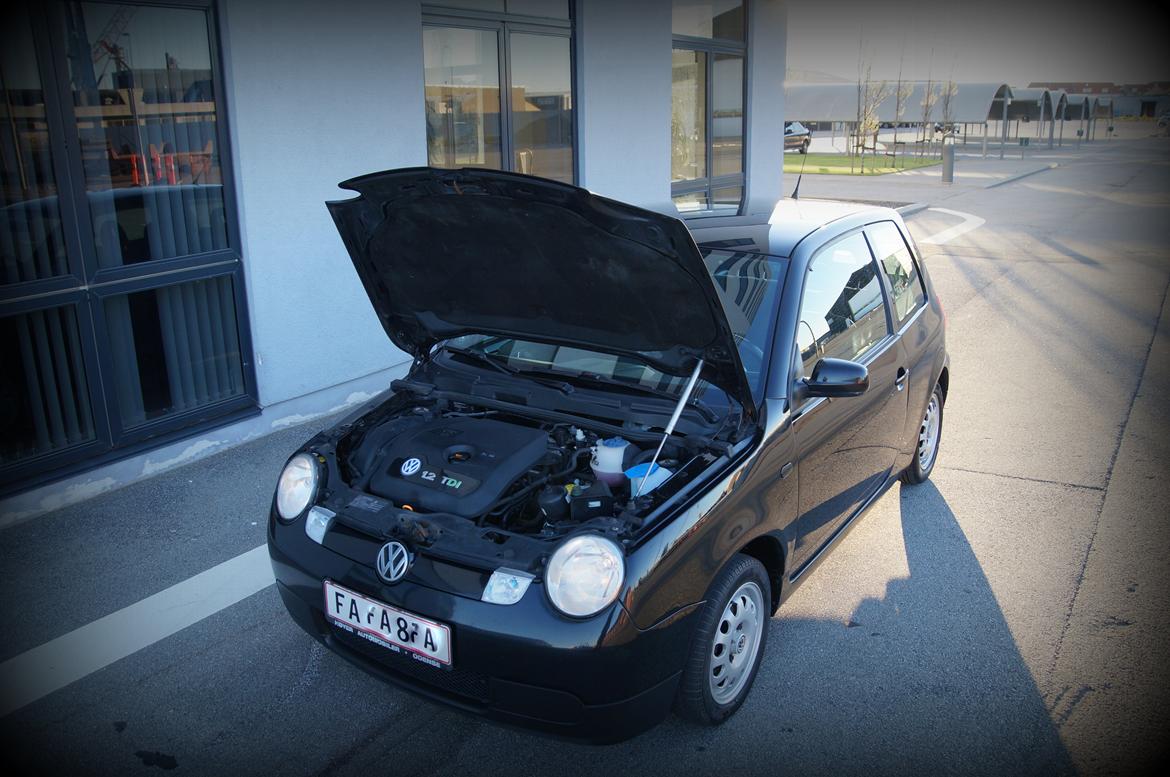 VW Lupo 3L billede 21