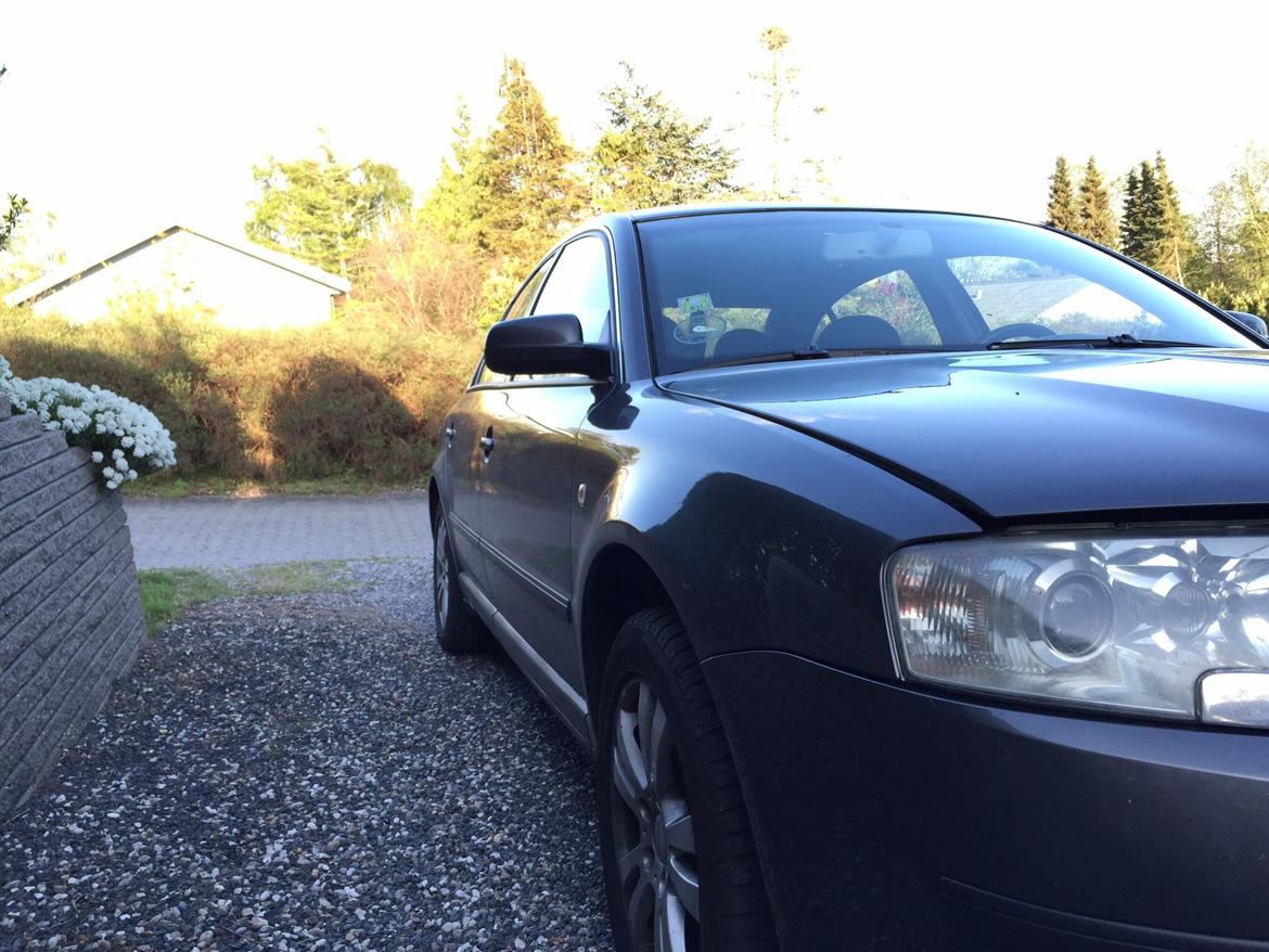 Skoda SuperB 1.9 tdi 130hk - samme i den anden side billede 4