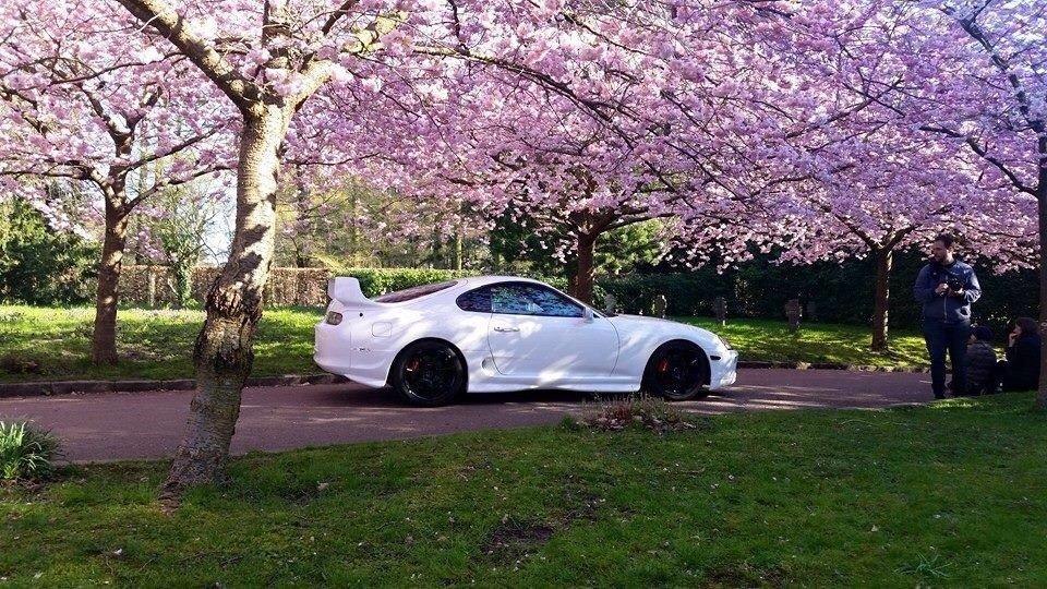 Toyota Supra RZ-S twin turbo billede 12