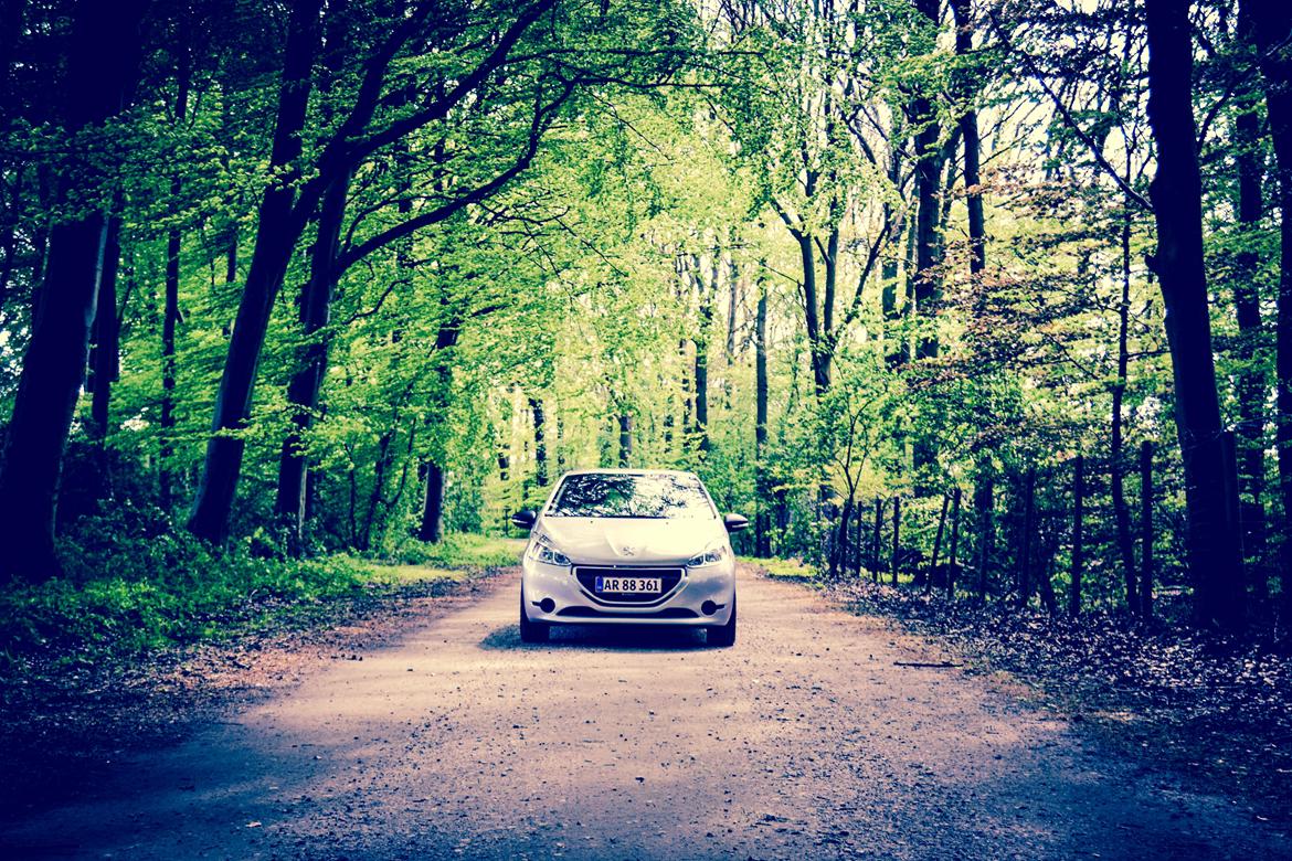 Peugeot 208 billede 16