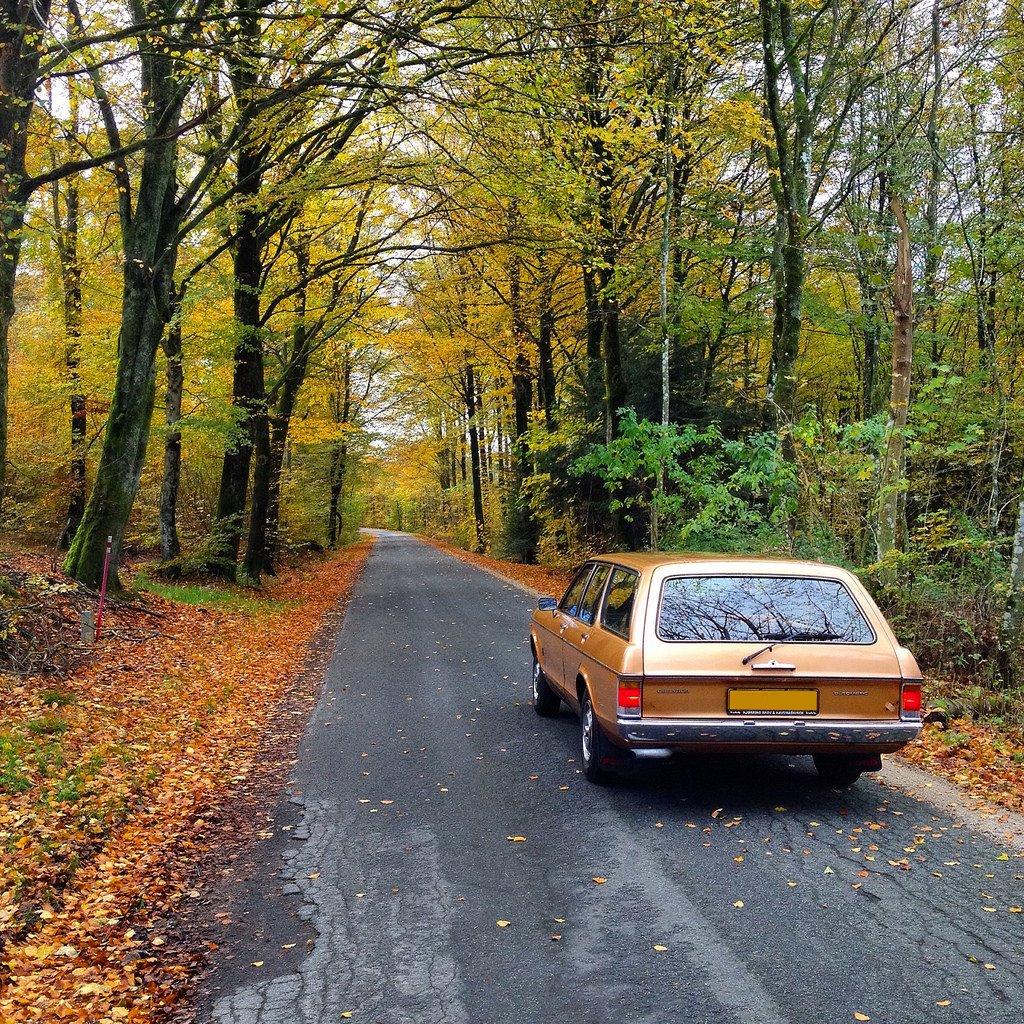 Ford Granada billede 12
