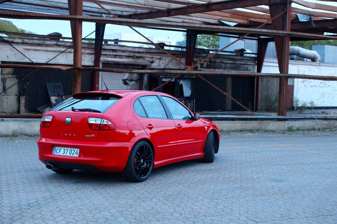 Seat Leon Cupra R  billede 15