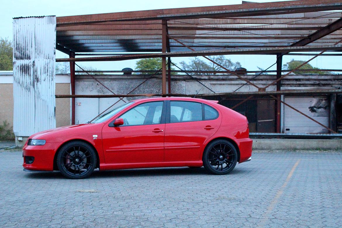 Seat Leon Cupra R  billede 18