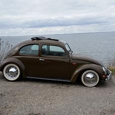 VW oval