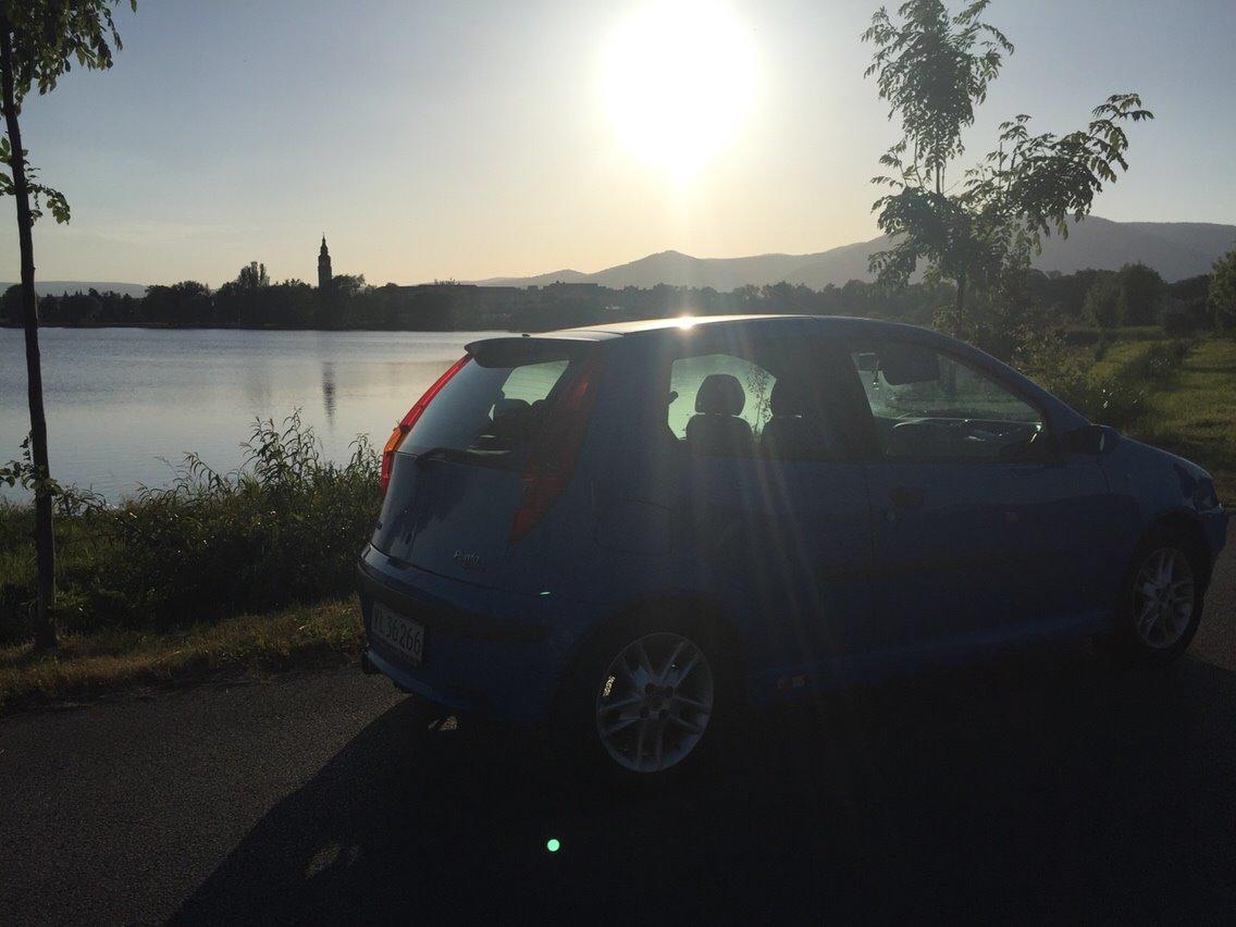 Fiat Punto Sporting billede 10