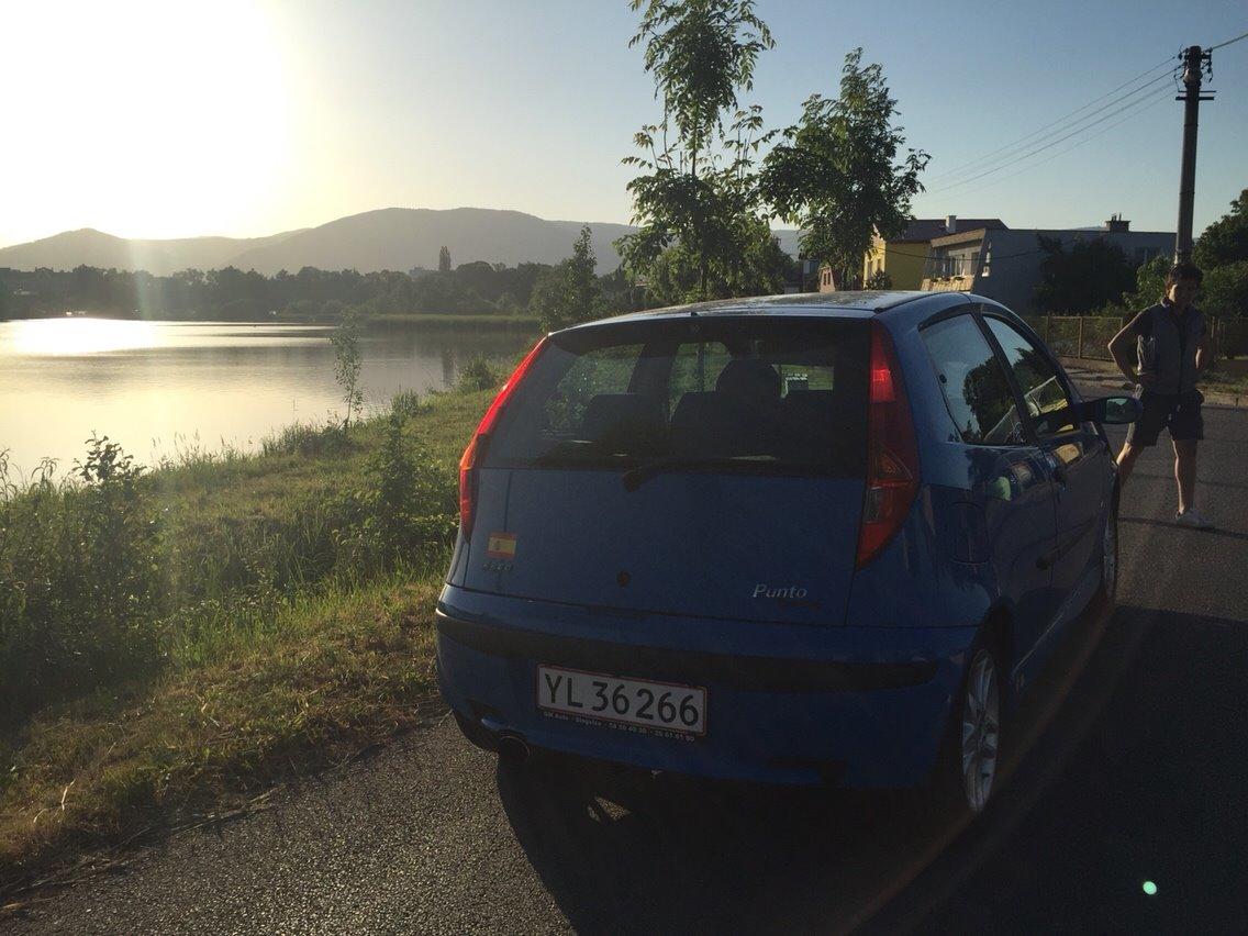 Fiat Punto Sporting billede 13