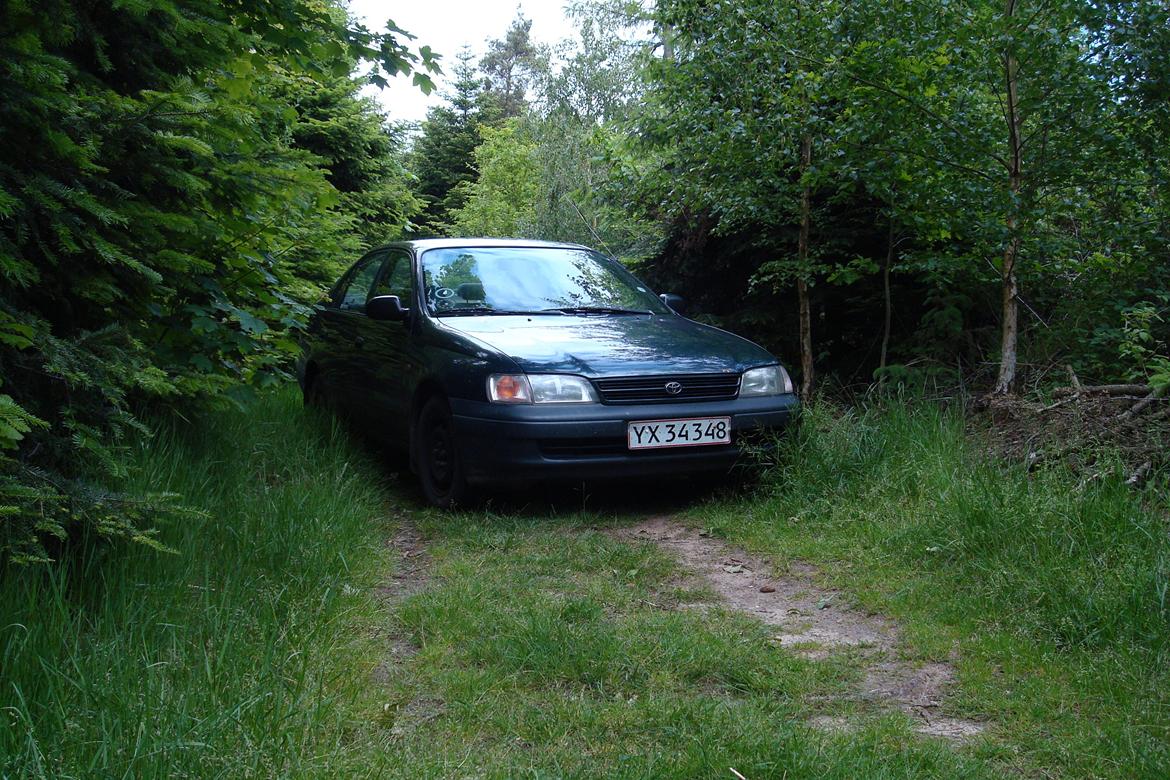 Toyota Carina E (SOLGT) billede 1