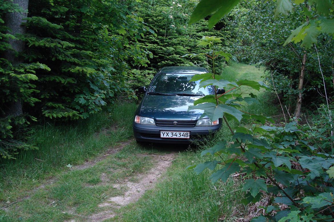 Toyota Carina E (SOLGT) billede 2