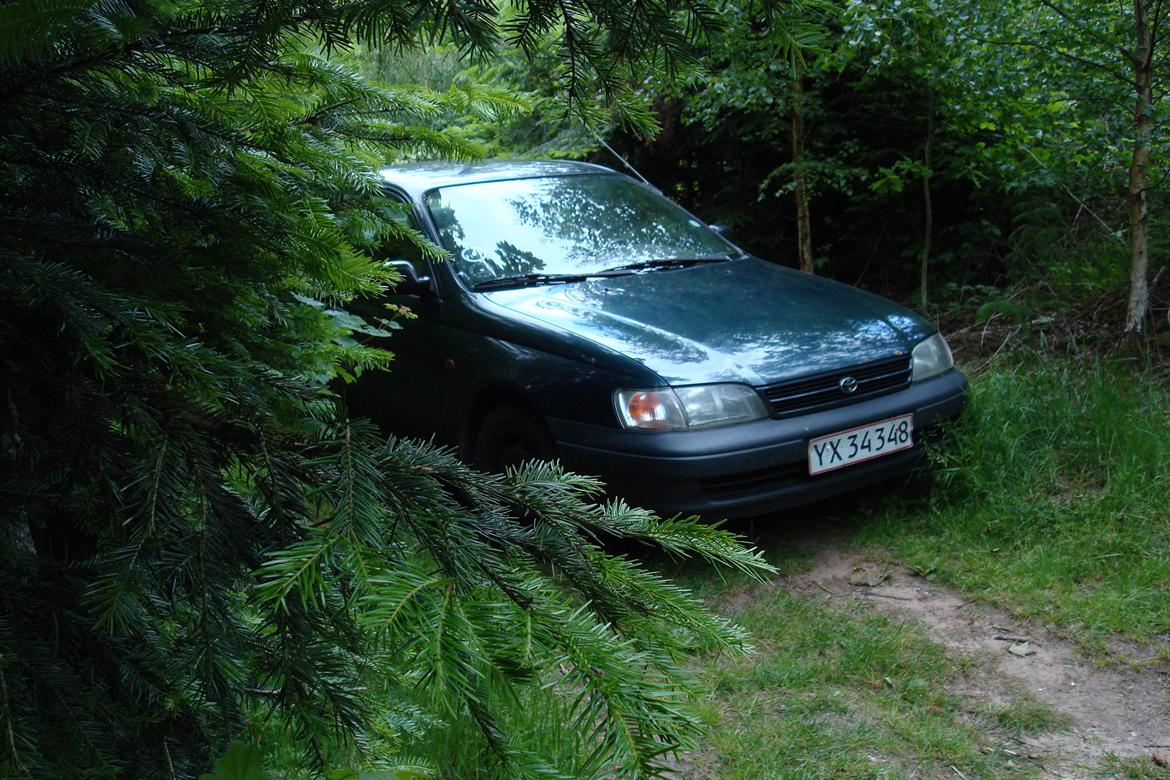 Toyota Carina E (SOLGT) billede 12