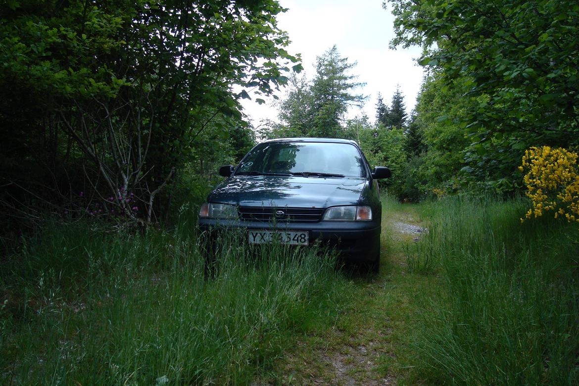 Toyota Carina E (SOLGT) billede 13