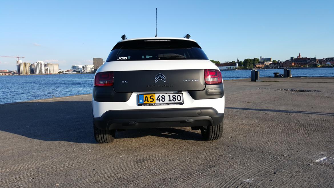 Citroën C4 Cactus Shine Sportsvan billede 7