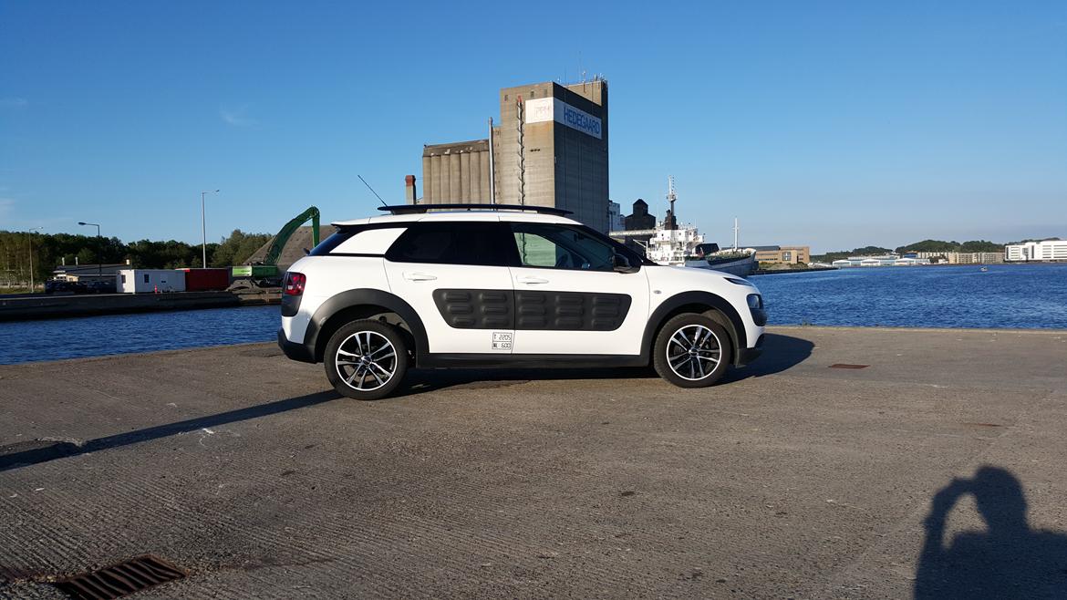 Citroën C4 Cactus Shine Sportsvan billede 14