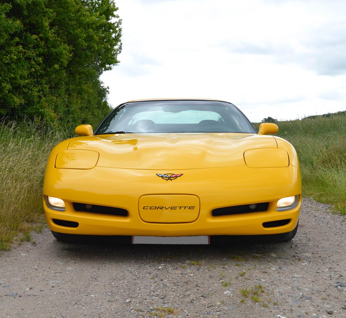 Chevrolet Corvette C5 5.7 V8 Coupé billede 4