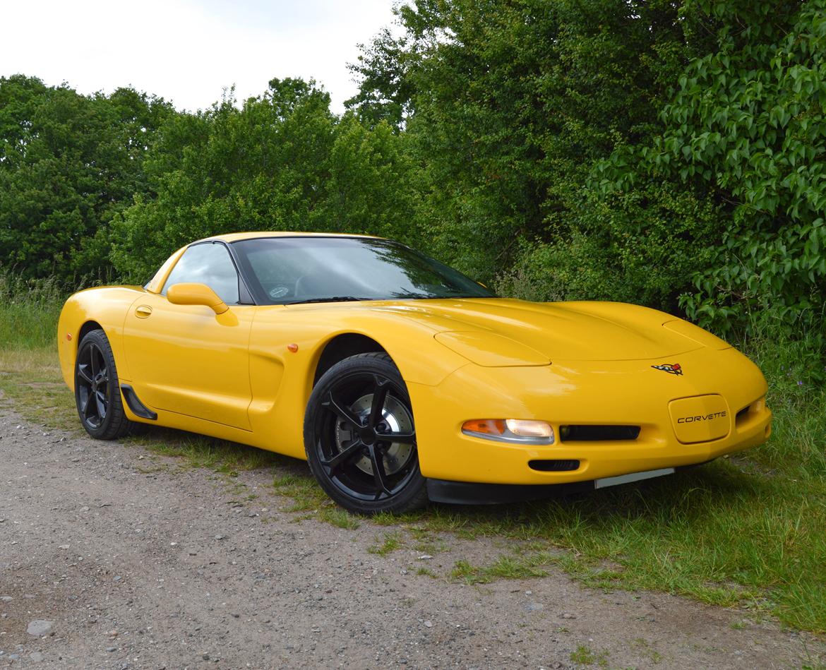 Chevrolet Corvette C5 5.7 V8 Coupé billede 12