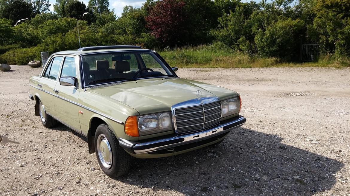 Mercedes Benz W123 300D billede 1