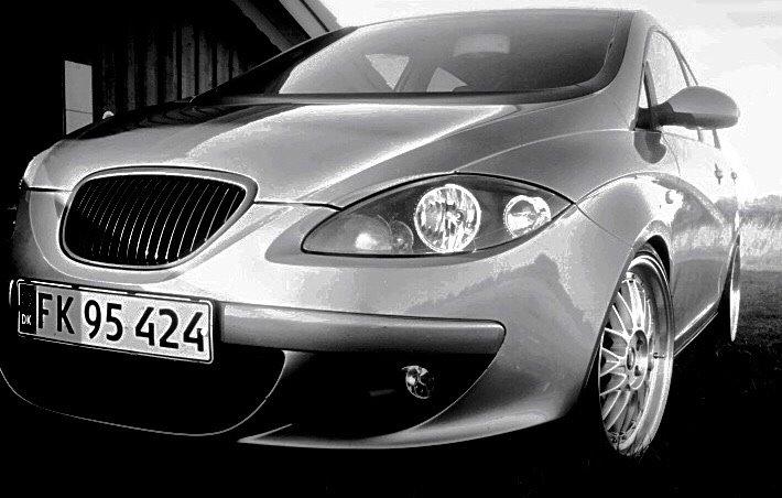 Seat Altea billede 10