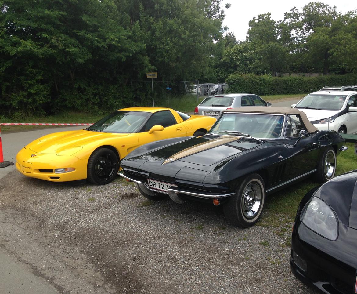 Chevrolet Corvette C5 5.7 V8 Coupé billede 17