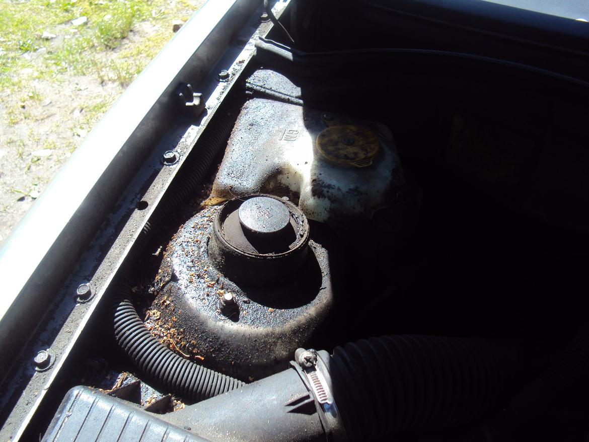 Opel astra f st.car billede 15