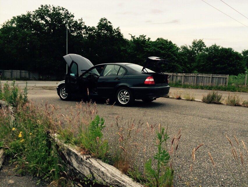 BMW E46 billede 15