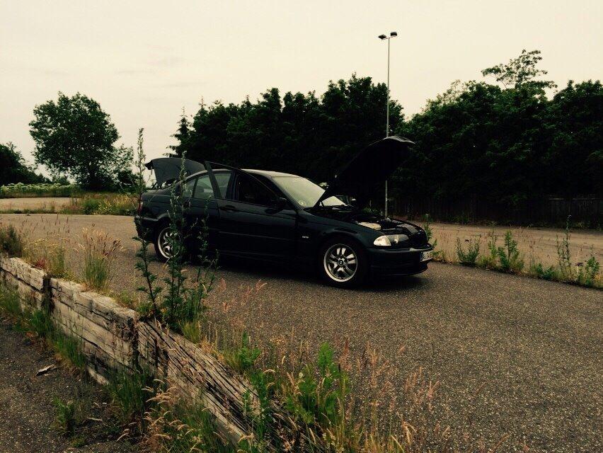 BMW E46 billede 17