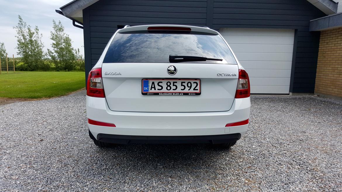 Skoda Octavia Combi Elegance Sport billede 5