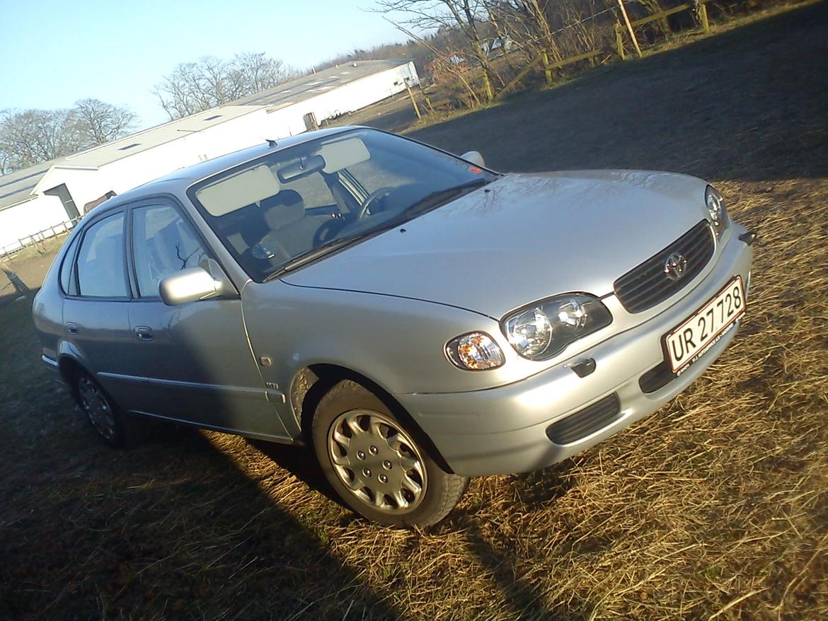 Toyota corolla e11 lb - den spæde begyndelse billede 9