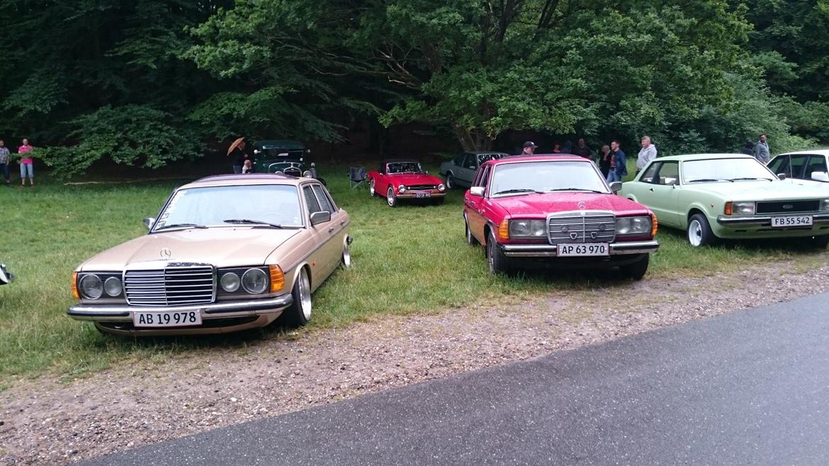 Mercedes Benz W123 240D  **1.200.000 km - Træf i Lundby Krat i super godt selskab :) billede 19