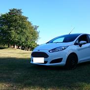 Ford Fiesta Eco