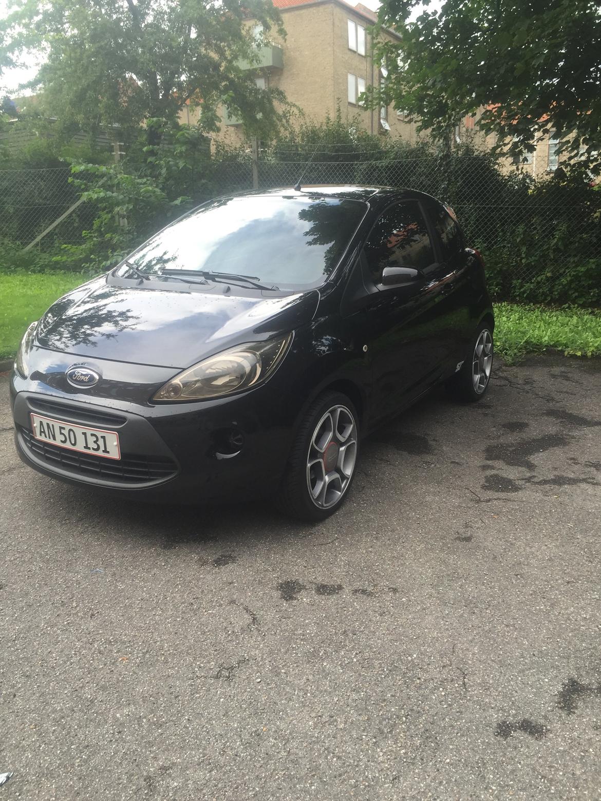 Ford Ka mk2 Ru8 billede 16