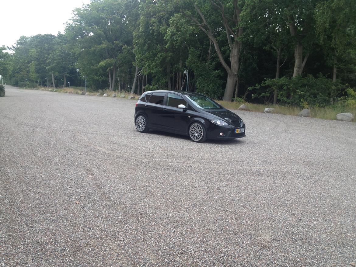 Seat Altea billede 3