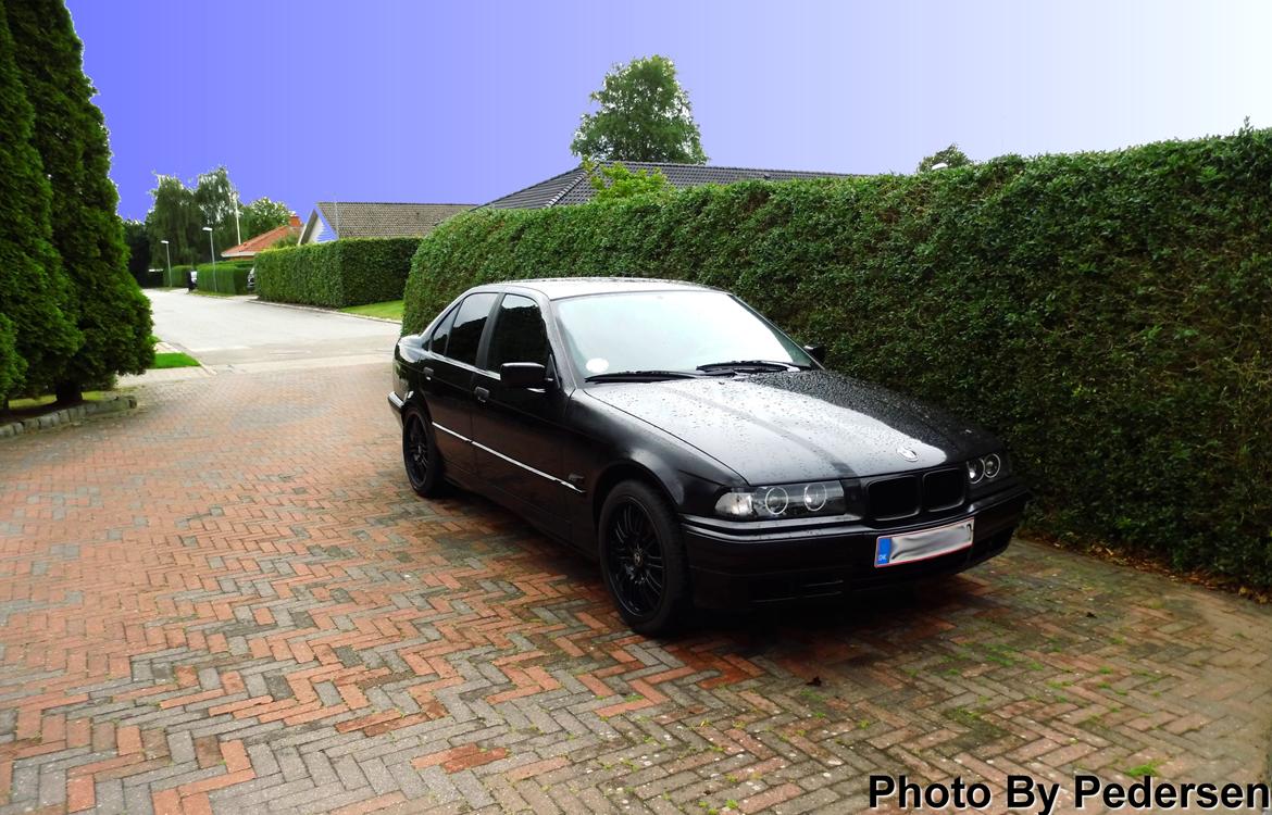 BMW E36 316I billede 5