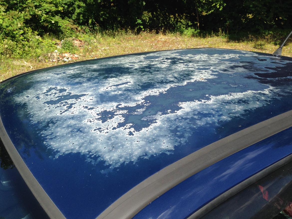 Seat Cordoba 1.6 billede 16