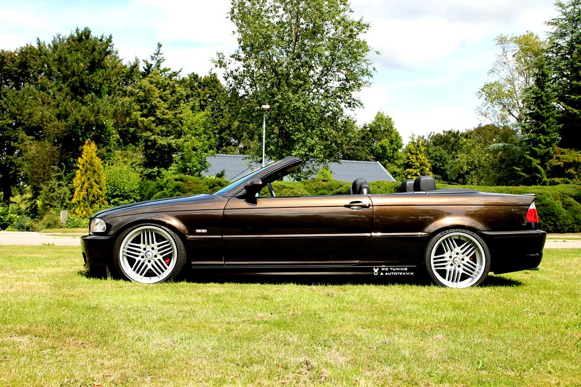 BMW E46 330CI Cabriolet "Brownie"  billede 5