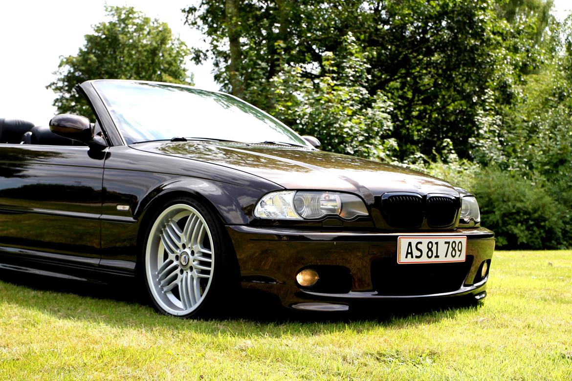 BMW E46 330CI Cabriolet "Brownie"  billede 8