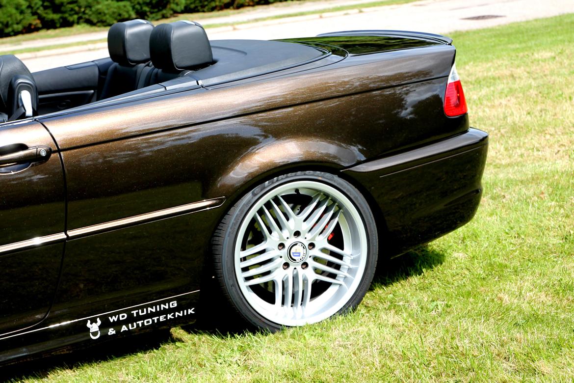 BMW E46 330CI Cabriolet "Brownie"  billede 10