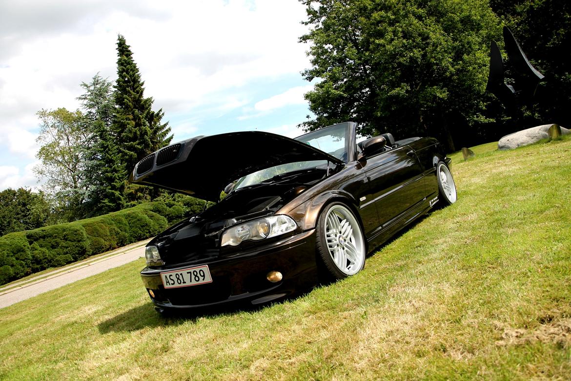 BMW E46 330CI Cabriolet "Brownie"  billede 36